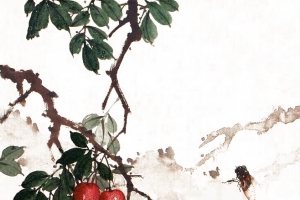 荔枝