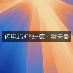德·霍夫曼力作，闪电式扩张——个人能力提升必读之书