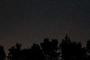 星空 星星 夜晚 树木 深色 4k壁纸 3840x2160