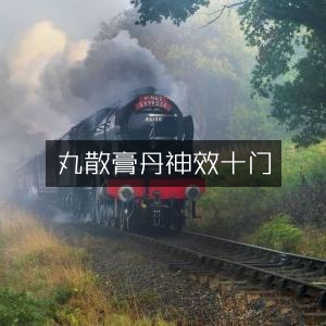 丸散膏丹十门神效集 | 古典文献