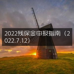 2022年残保金申报全攻略（7月12日更新）