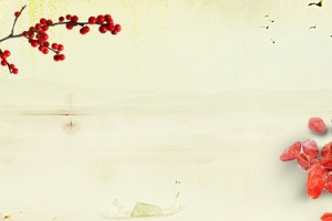 养生枸杞中式简约棕色banner