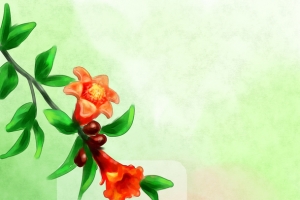 红色花朵节气芒种