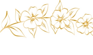 矢量金色花朵png图