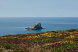 海岸 大海 岩石 草 花 自然 4k壁纸 3840x2160