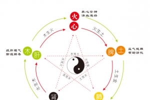 五行与内脏