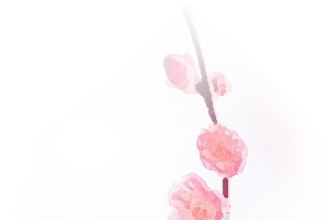 桃花彩绘桃花透明桃花
