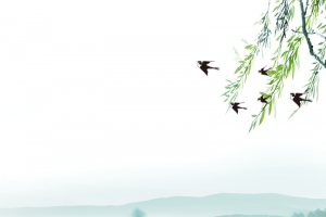 清新文艺荷花湖水插画