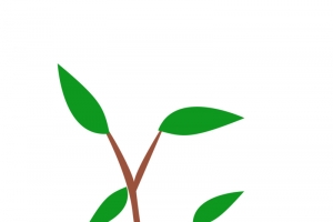 植树节素材手绘小树苗