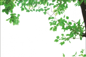展板底纹