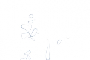 透明的水滴