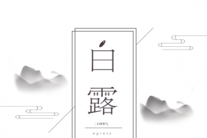 白露秋季线框鹤二十四节气
