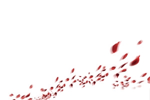 花瓣