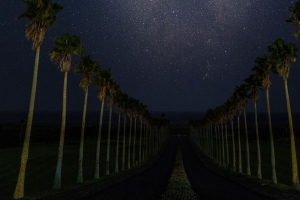 路 棕榈树 夜晚 星星 星空 4k壁纸 3840x2160