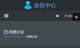 消费记录手机端灰色