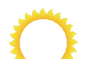矢量黄色花瓣太阳光圈