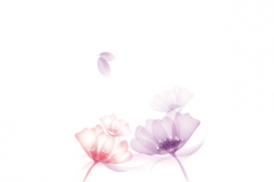 花花的飘流日记