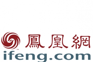 彩色创意凤凰网图标元素