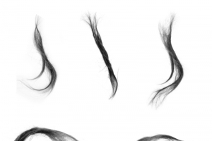 飘逸真实长发高清PNG透明免扣设计素材免费下载