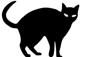 万圣节黑色小猫元素
