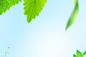 清新面膜背景