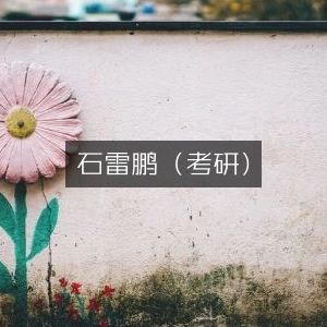 石雷鹏考研指南