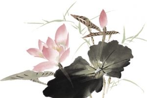 手绘粉色莲花海报装饰