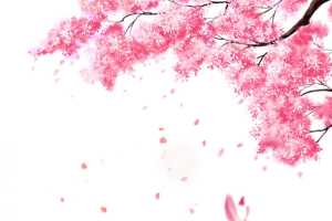 手绘樱花桃花林元素