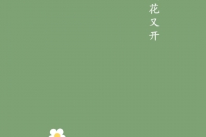 （壁纸）分享一套壁纸（纯色居多）
