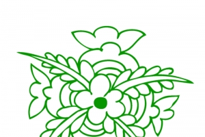 花，花瓣，花朵58