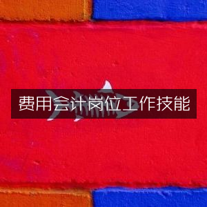 费用会计岗位必备工作技能