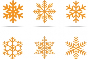 橘色雪花