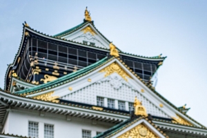 宝塔 建筑 建筑 树 松针 4k壁纸 3840x2160