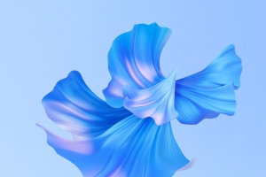 3d 蓝色花瓣 华为MatePad Pro11 内置高清壁纸3200x2560