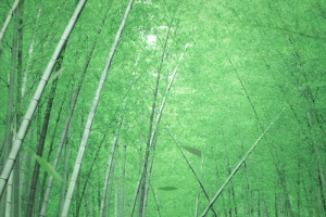 竹林家具木椅H5背景