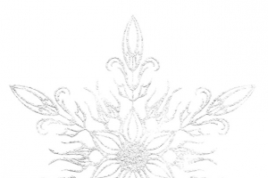 通透明亮雪花