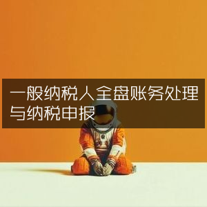 一般纳税人全盘财务管理及税务申报指南