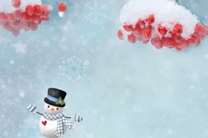 腊梅雪地小清新蓝色banner