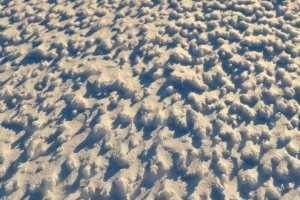 雪 救济 冬天 宏观 4k壁纸 3840x2160