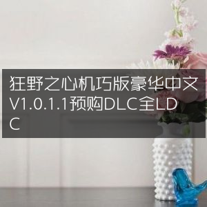 狂野之心，机巧版豪华中文V1.0.1.1，预购享DLC，全LDC限定