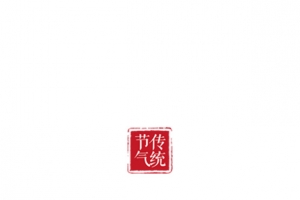 传统节气红色印章