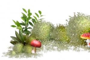 手绘蘑菇蝴蝶绿叶白花
