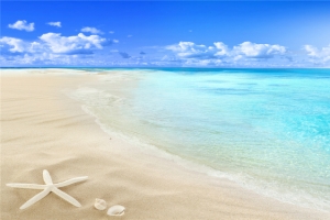 唯美海洋海滩风光海报背景