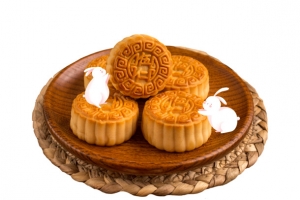 趴在月饼上的小兔子