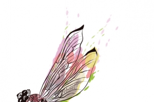 矢量手绘蜻蜓