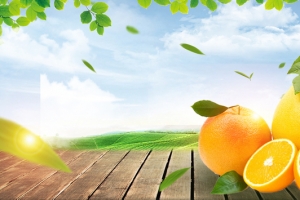 水果文艺清新简约banner