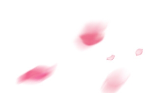 花瓣