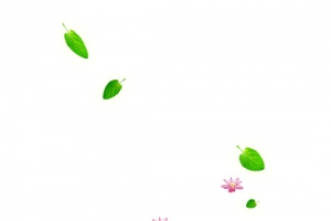 绿叶与红花