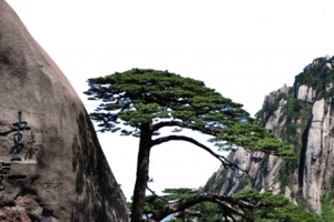 黄山