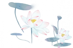 国风 国潮 荷花 插画 荷塘